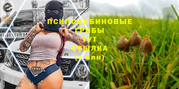 дмт Белоозёрский