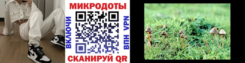 Галлюциногенные грибы мицелий  сколько стоит  Енисейск 